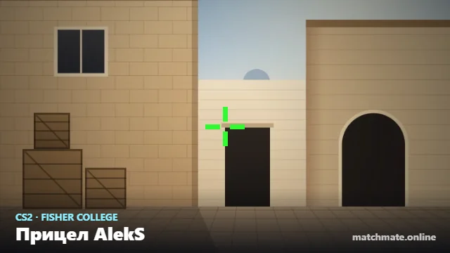 Прицел AlekS в CS2 — как он выглядит в игре