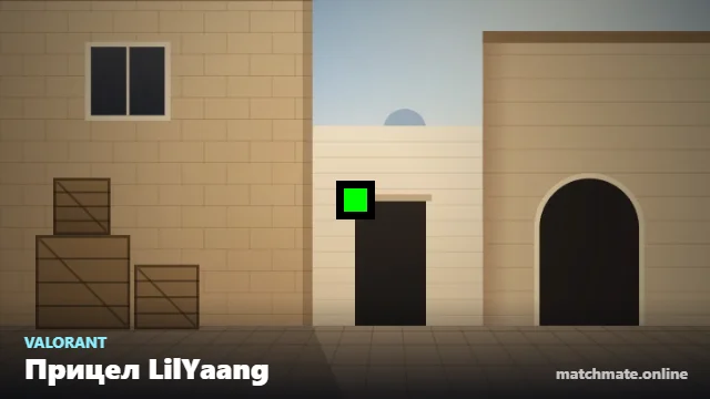 Прицел LilYaang в Valorant — как он выглядит в игре
