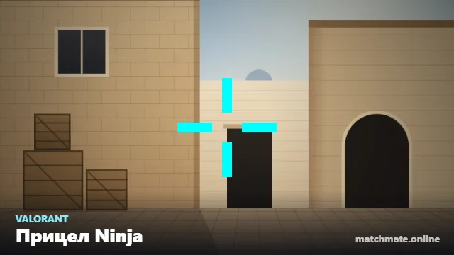 Прицел Ninja в Valorant — как он выглядит в игре